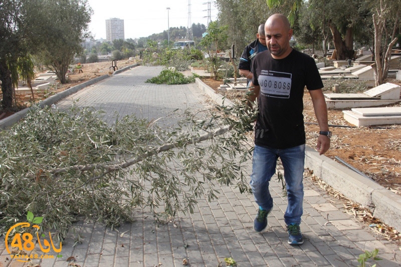 tasoooi3i1412 (31).JPG